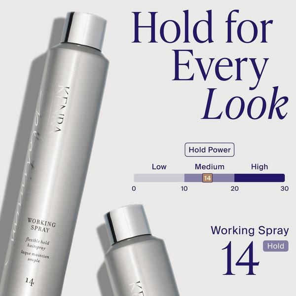 Kenra Professional Platinum Working Spray 14 #6