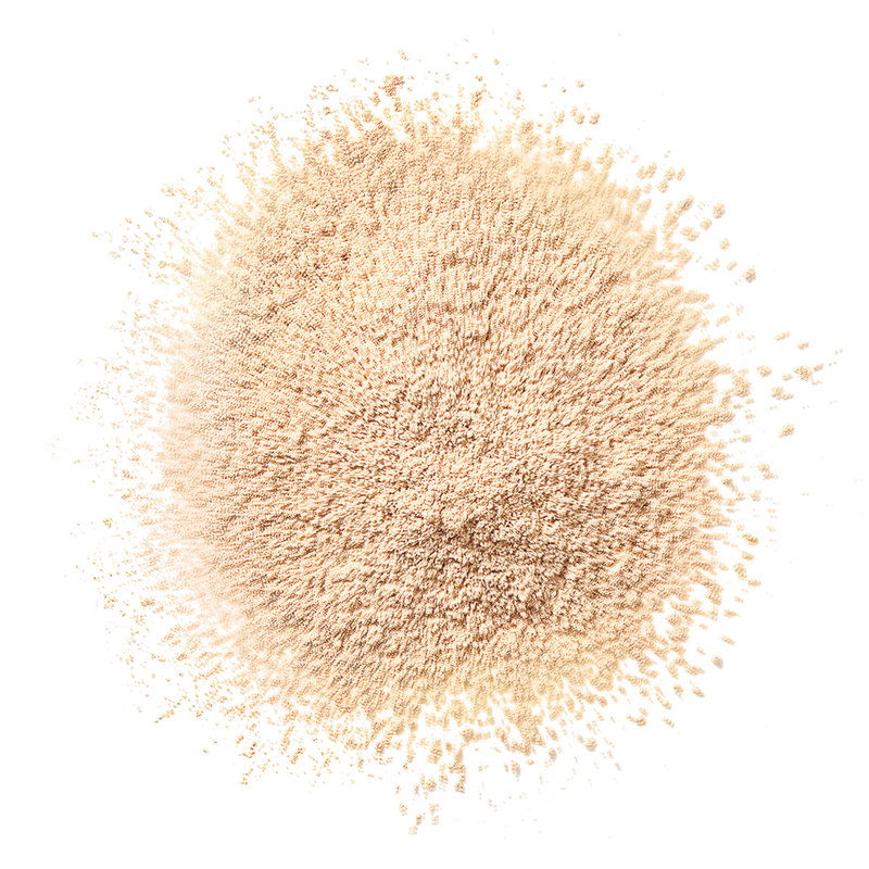 Clinique Blended Face Setting Powder #2