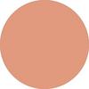 62 Porcelain Beige