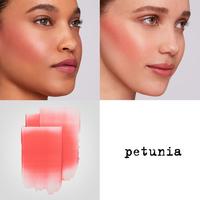 Stila Convertible Color Lip & Cheek Cream Blush #3
