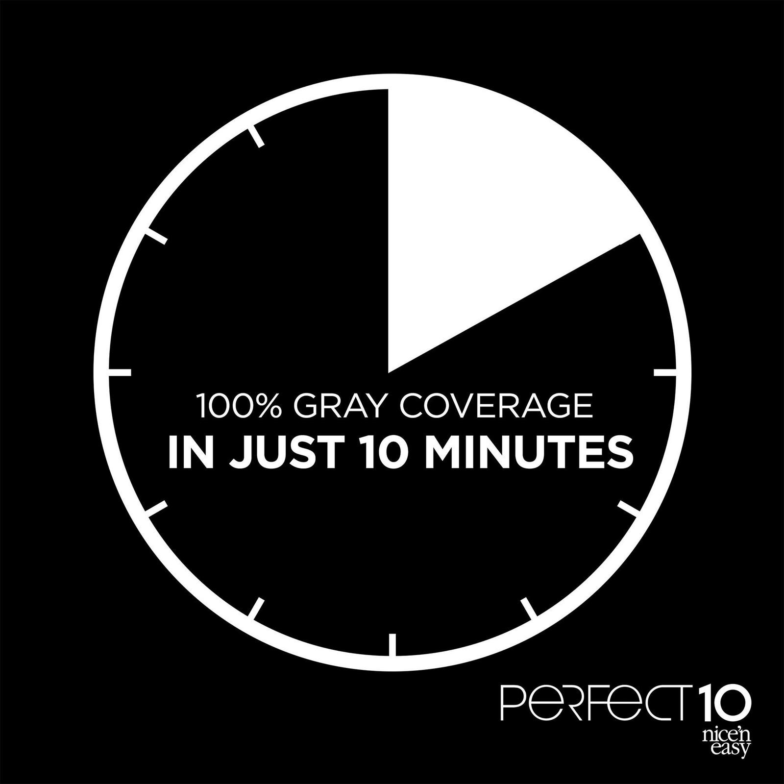 Perfect 10 Nice 'n Easy Hair Color