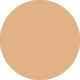 WN 46 Golden Neutral Even Better Makeup Broad Spectrum SPF 15 Foundation 