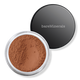 Warmth ALL-OVER FACE COLOR Loose Bronzer 