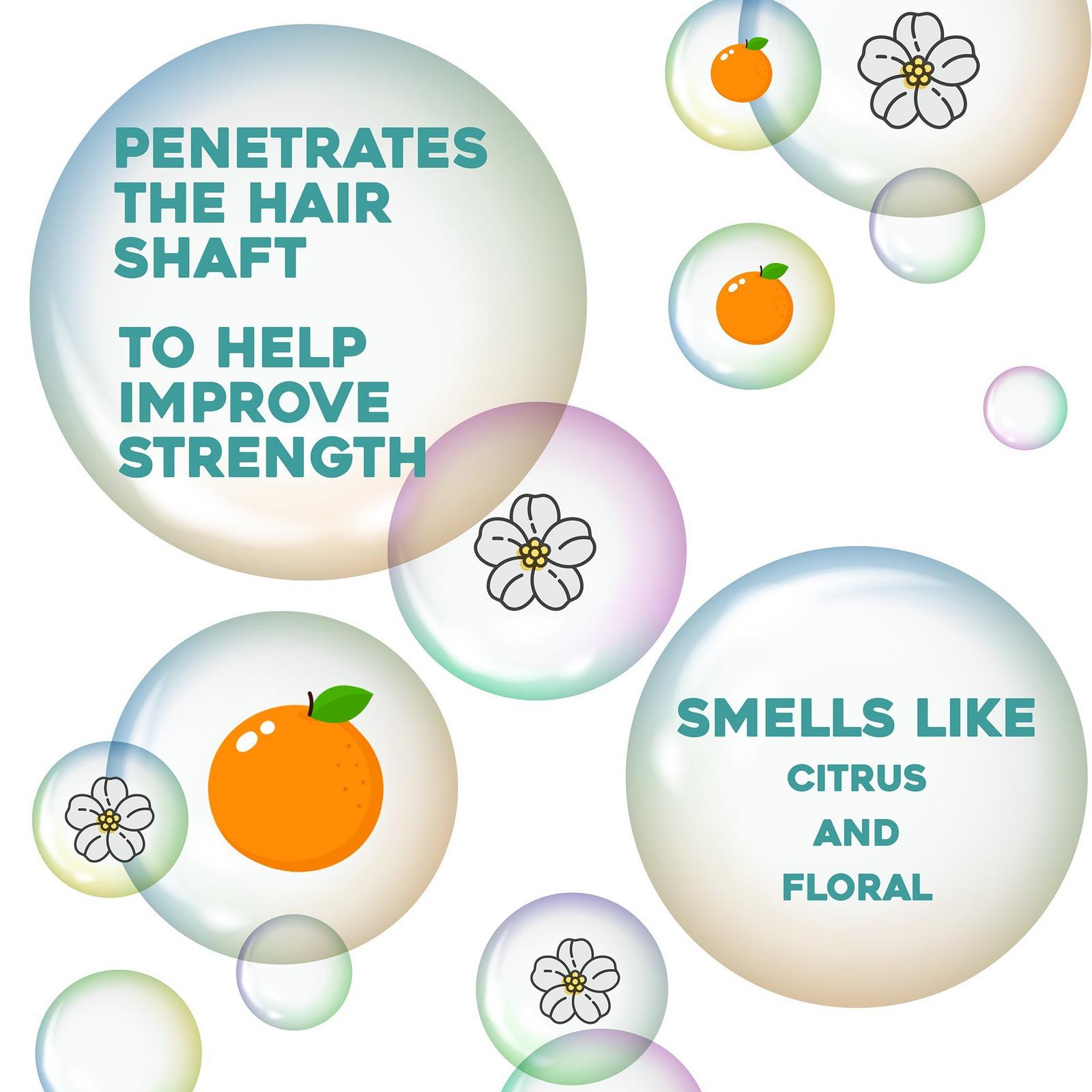 Renewing Argan Oil Of Morocco Weightless Healing Dry Oil