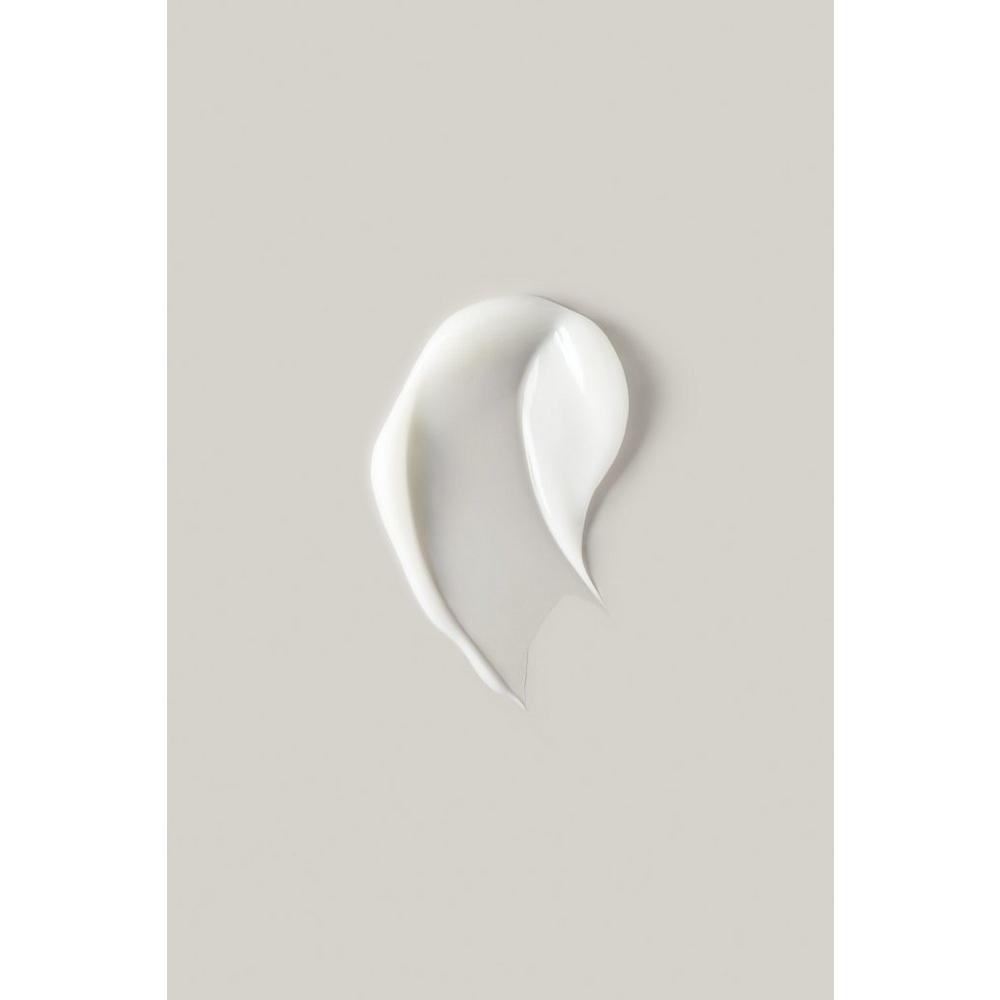 Moisture Lock Leave-In Conditioner