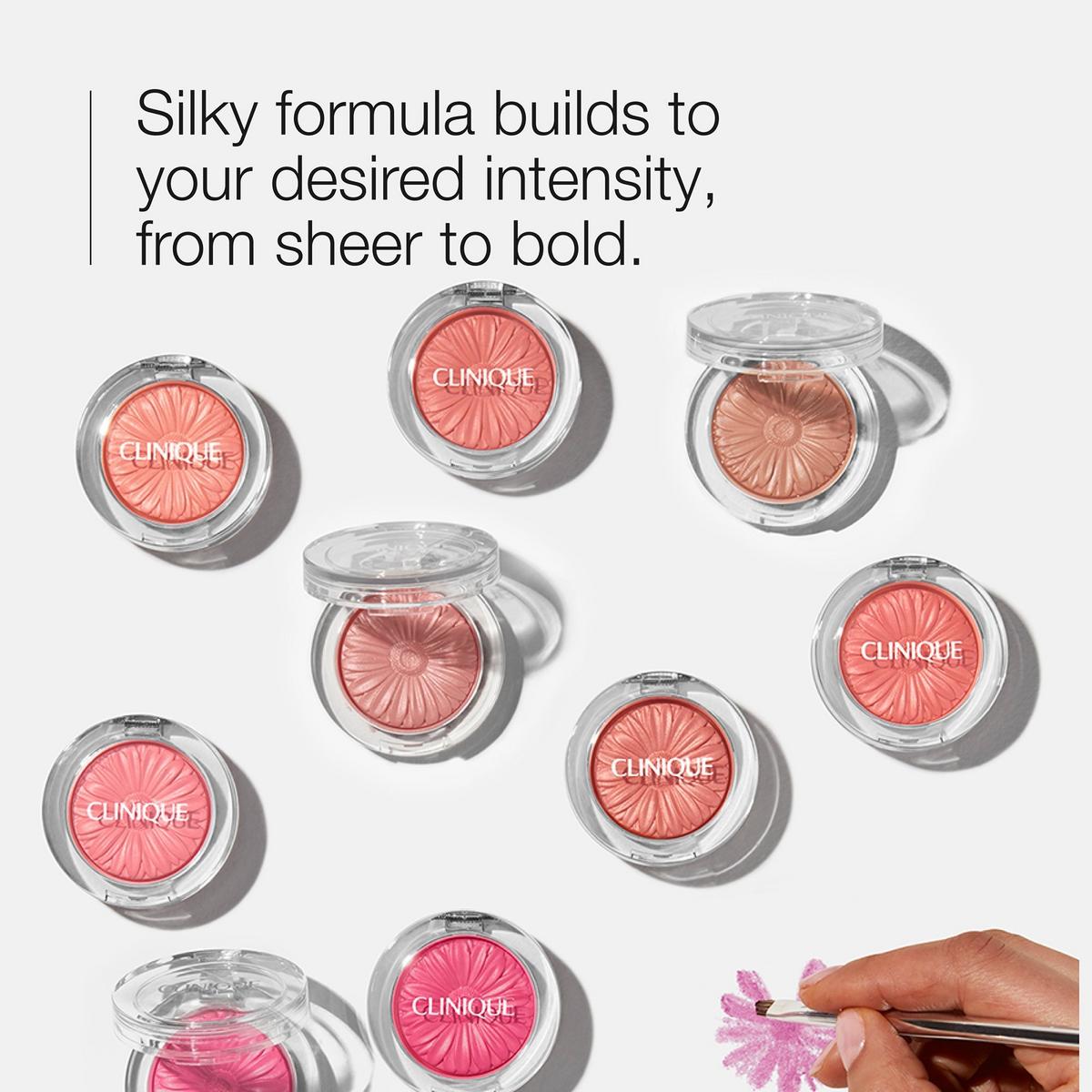 Clinique blush ingredients discount