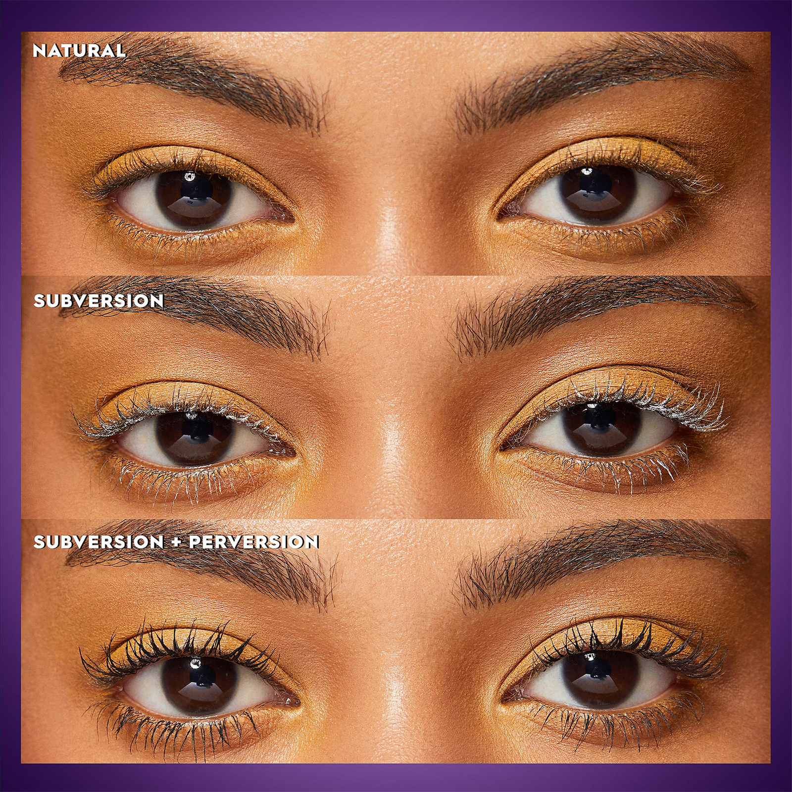 Subversion Lash Primer