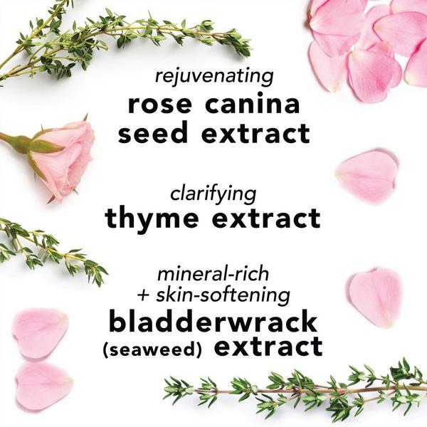 Mario Badescu Travel Size Facial Spray With Aloe, Herbs and Rosewater #6