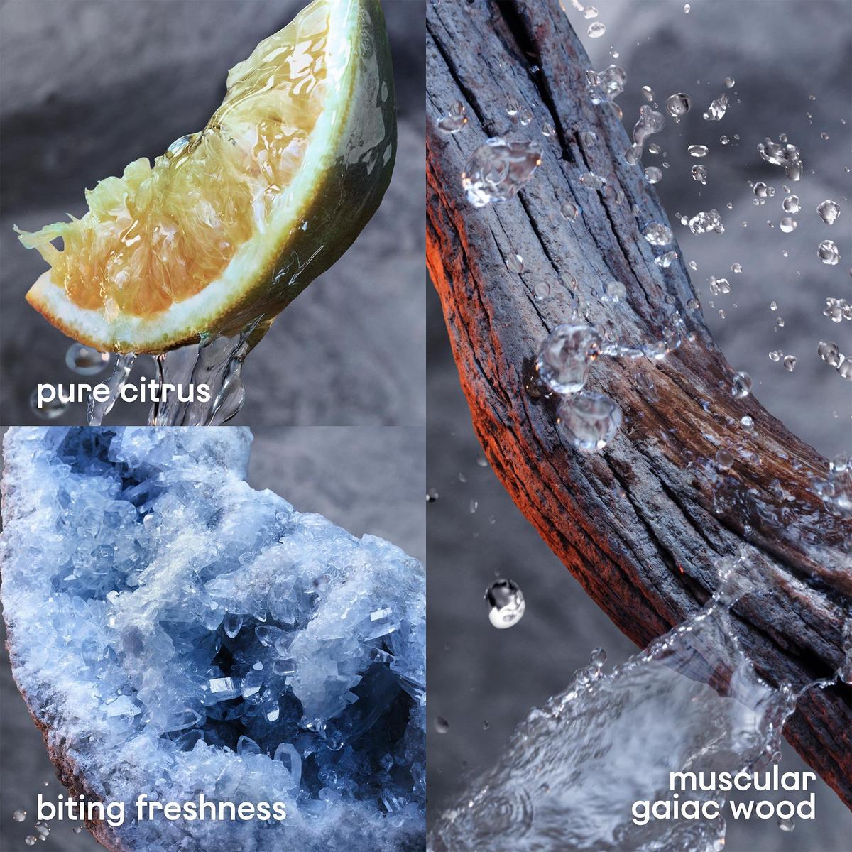 Invictus Eau de Toilette