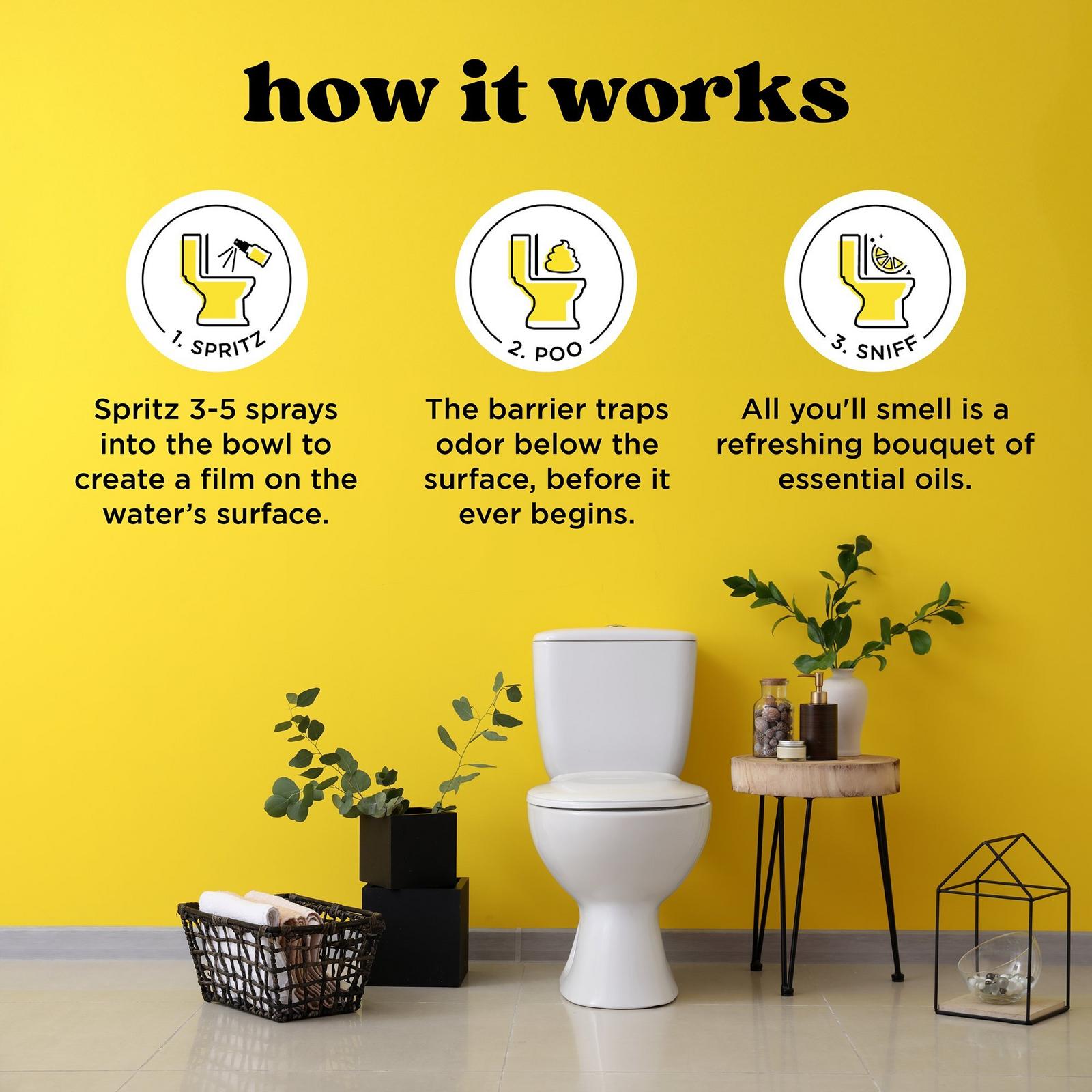 Before You Go Toilet Spray