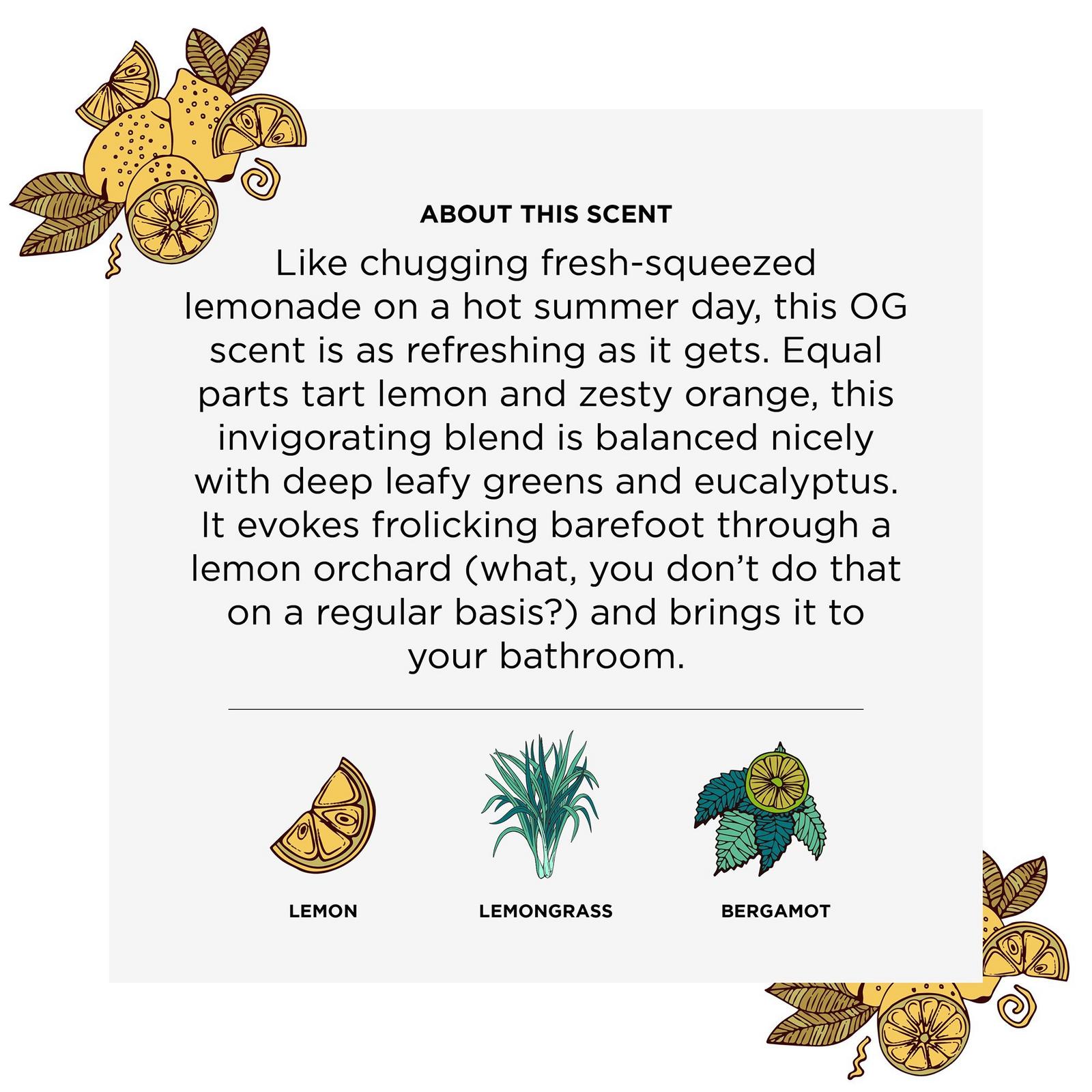 Before You Go Toilet Spray