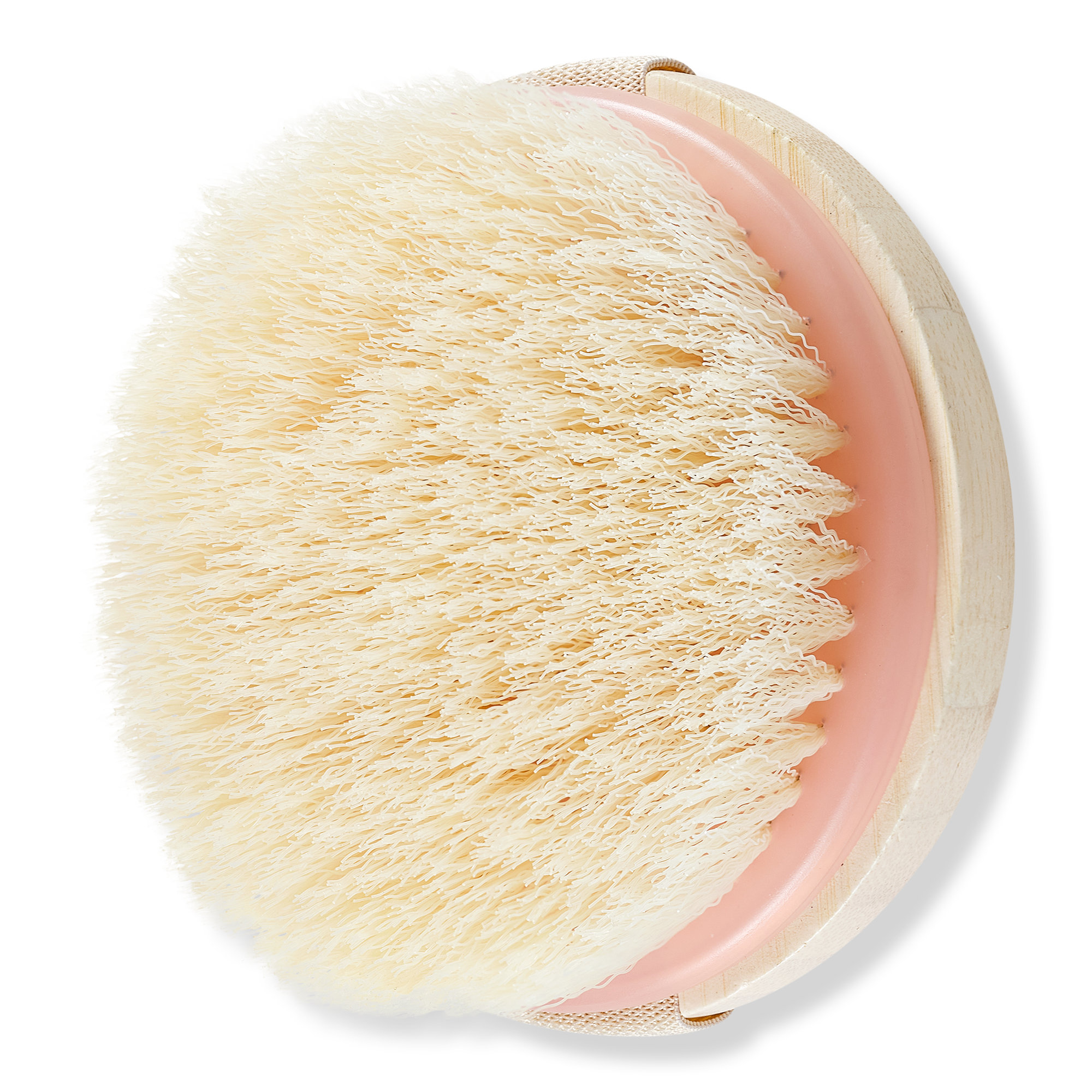 EcoTools Exfoliating Dry Body Brush #1