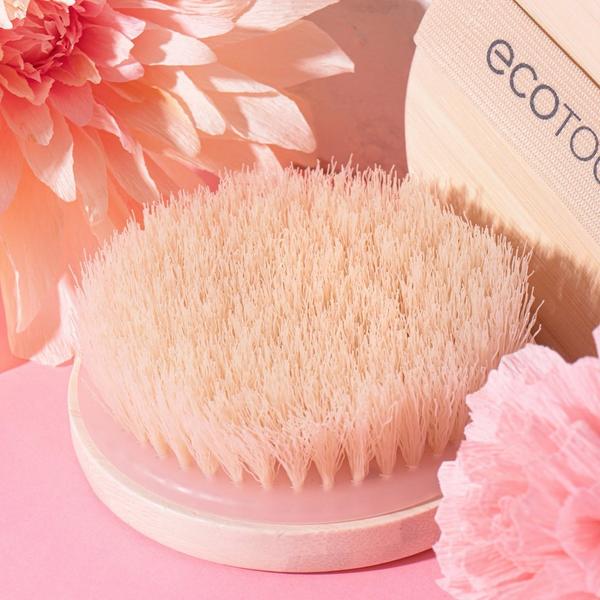 EcoTools Exfoliating Dry Body Brush #6