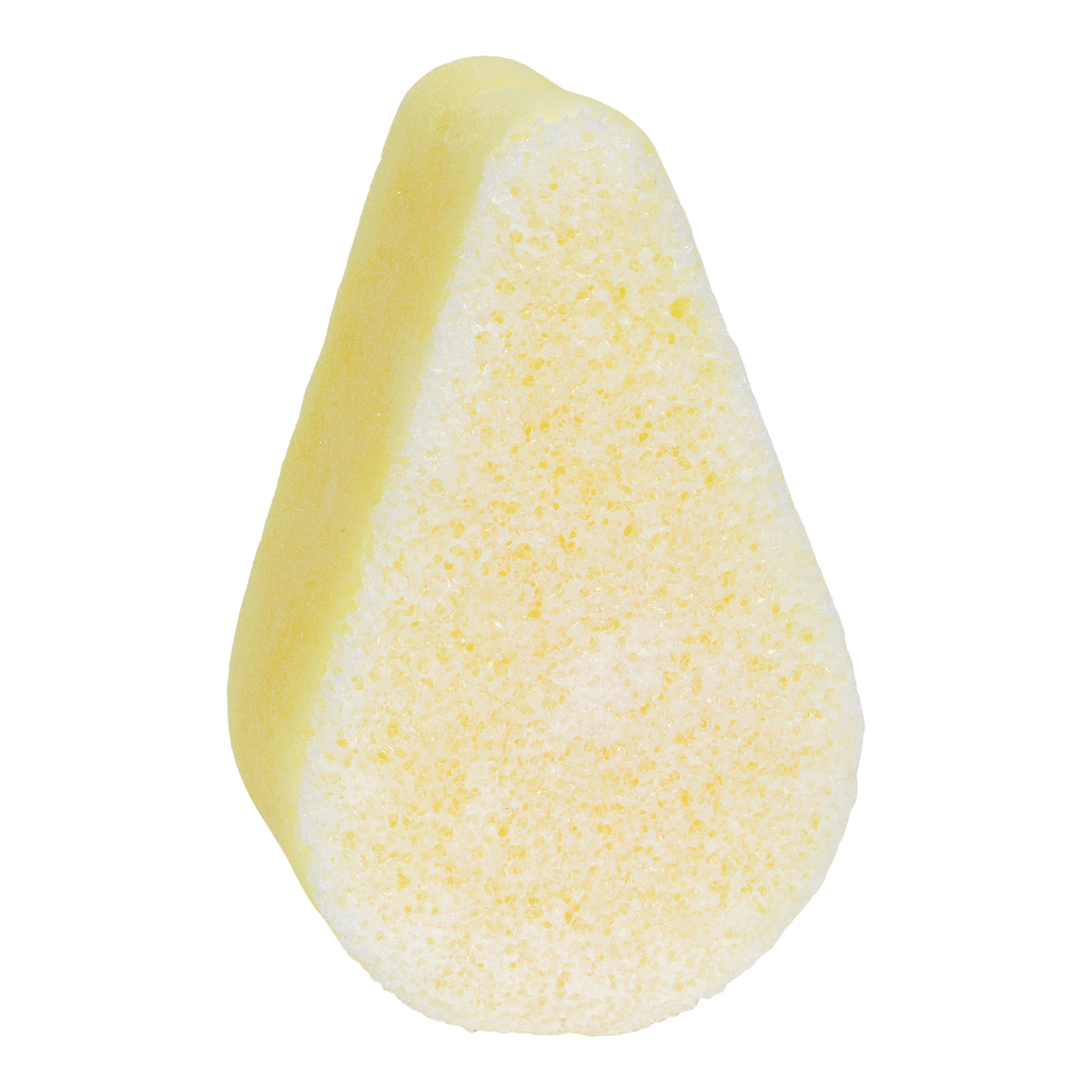 Spongeables Body Wash Sponge