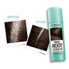 L'Oréal Root Cover Up #5