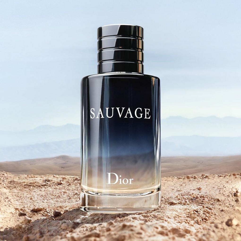 Sauvage eau clearance de toilette dior