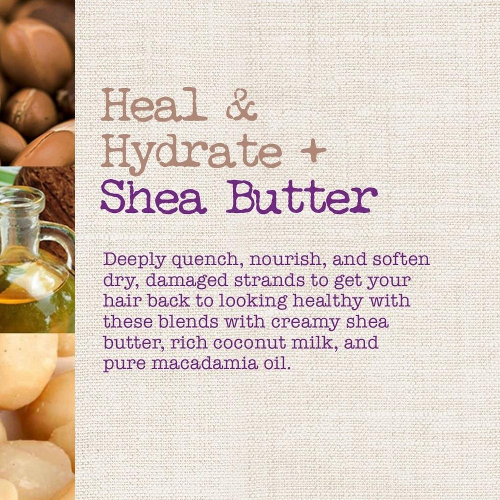 The Body Shop Shea Butter Shampoo and Conditioner Review