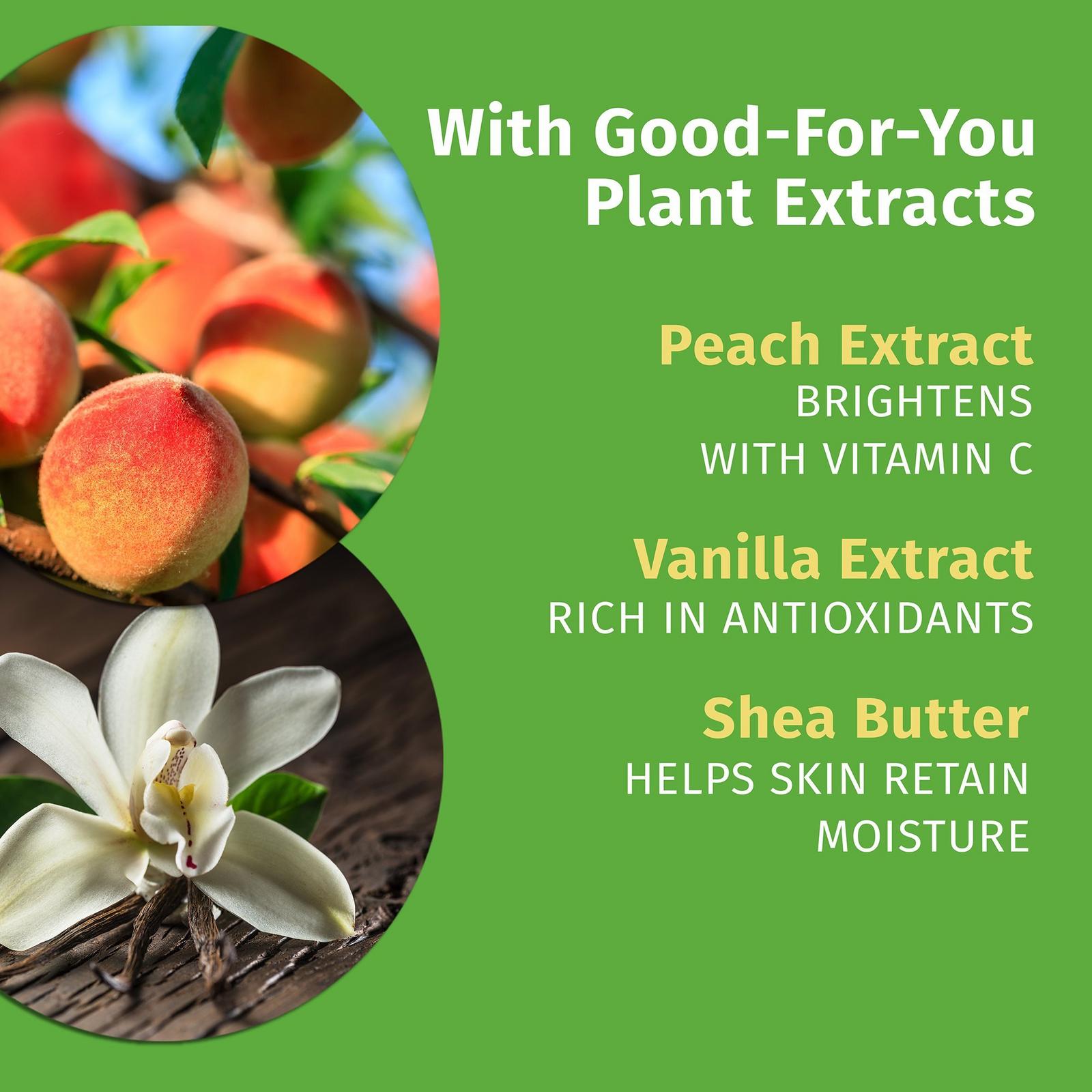 White Peach Rosé & Peony Herbal Body Moisturizer