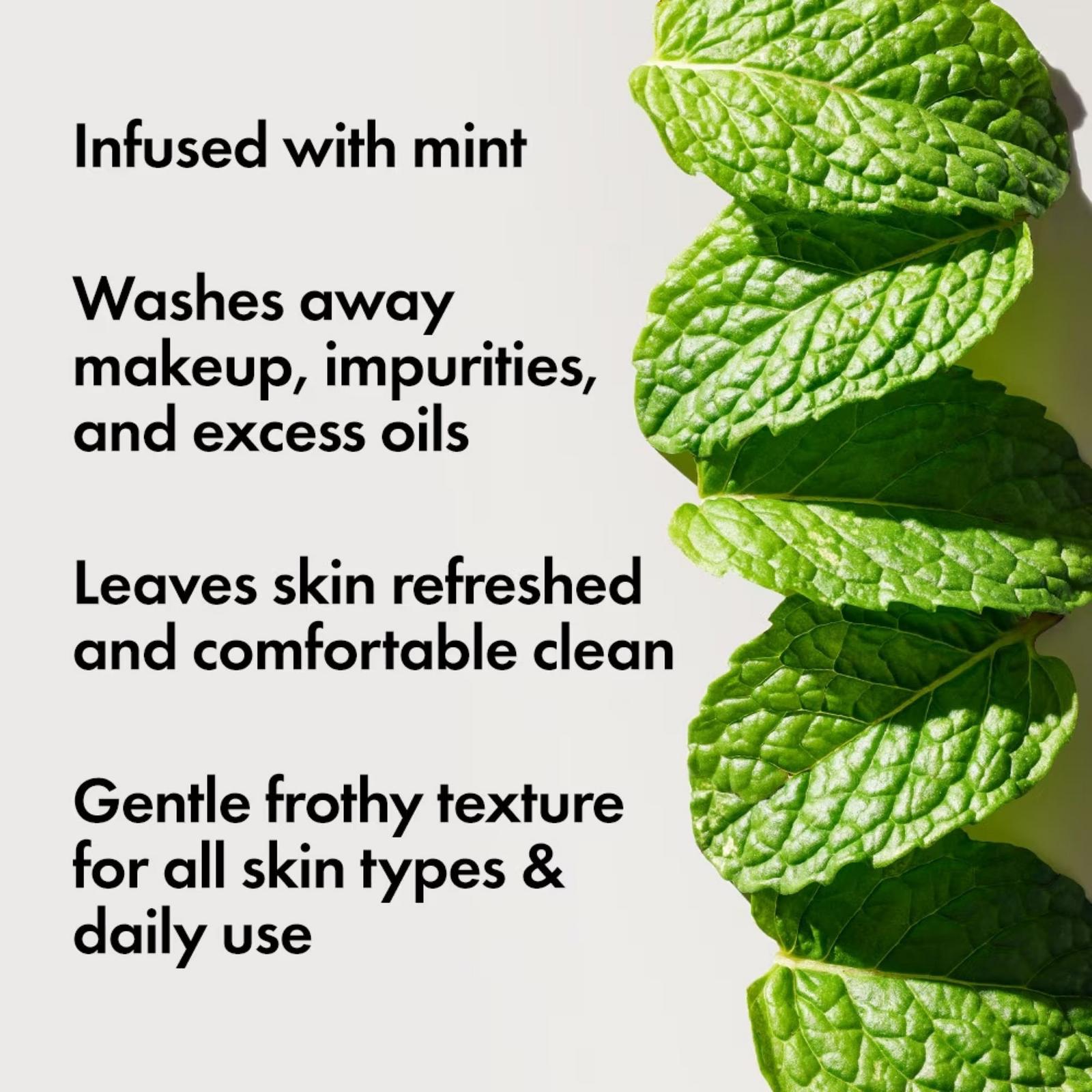 Checks and Balances Frothy Face Wash