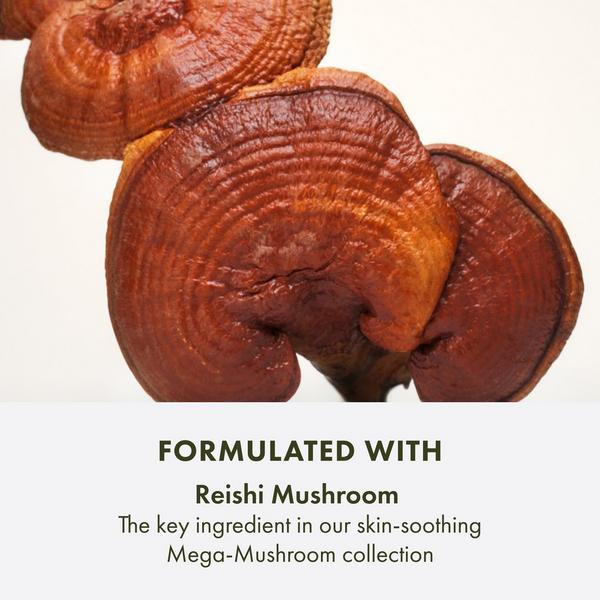 Origins Mega-Mushroom Skin Relief Micellar Cleanser #6