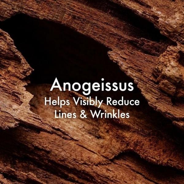 Origins Plantscription Youth-Renewing Power Night Cream #4