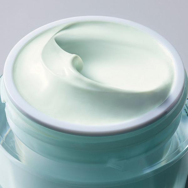 Estée Lauder Mini DayWear Advanced Multi-Protection Anti-Oxidant 24H Moisturizer Crème SPF 15 #3