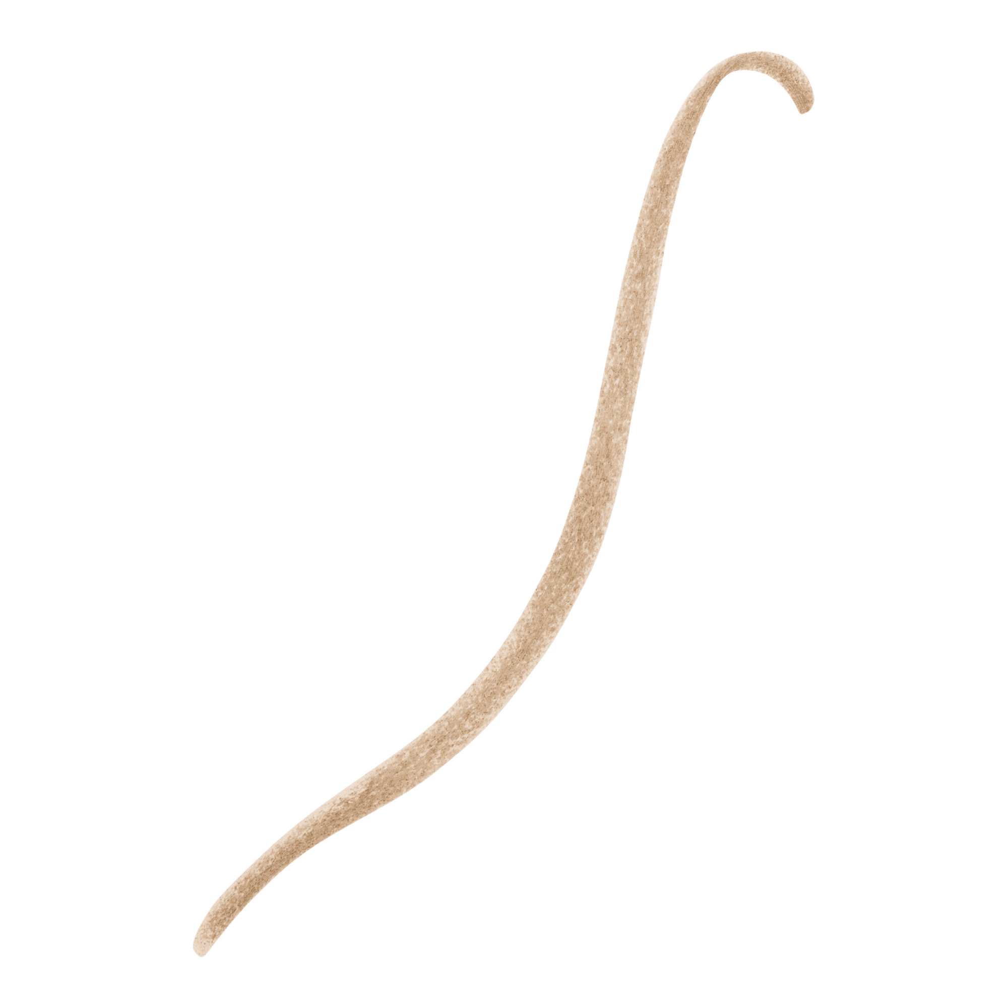 Дуэт карандаша и пудры для бровей Revlon ColorStay Brow Creator, цвет: Blonde — фото 2