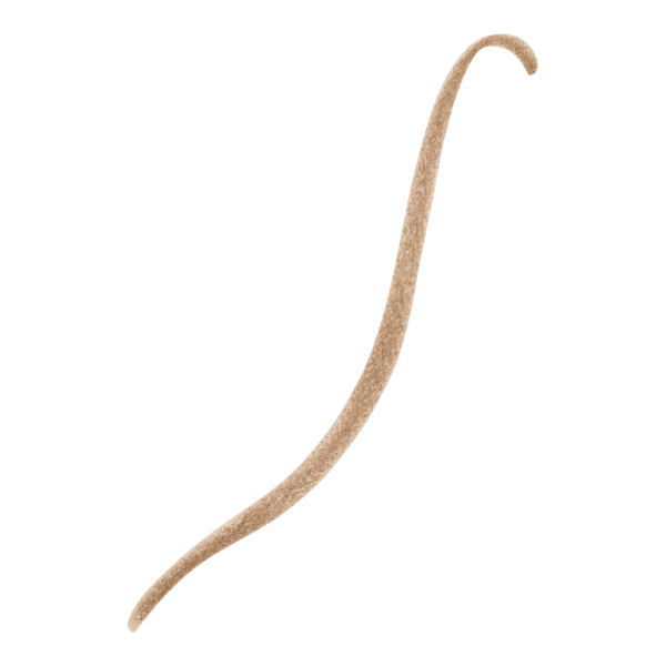 Revlon ColorStay Brow Creator Eyebrow Pencil & Powder Duo #2