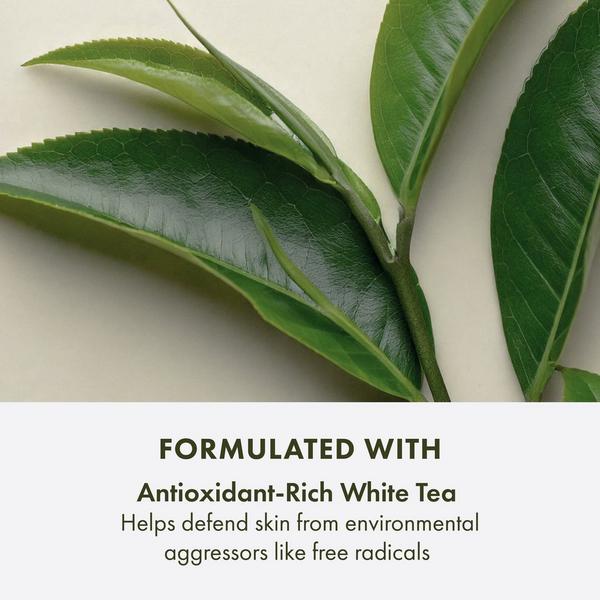 Origins A Perfect World SPF 40 Age-Defense Moisturizer with White Tea #6