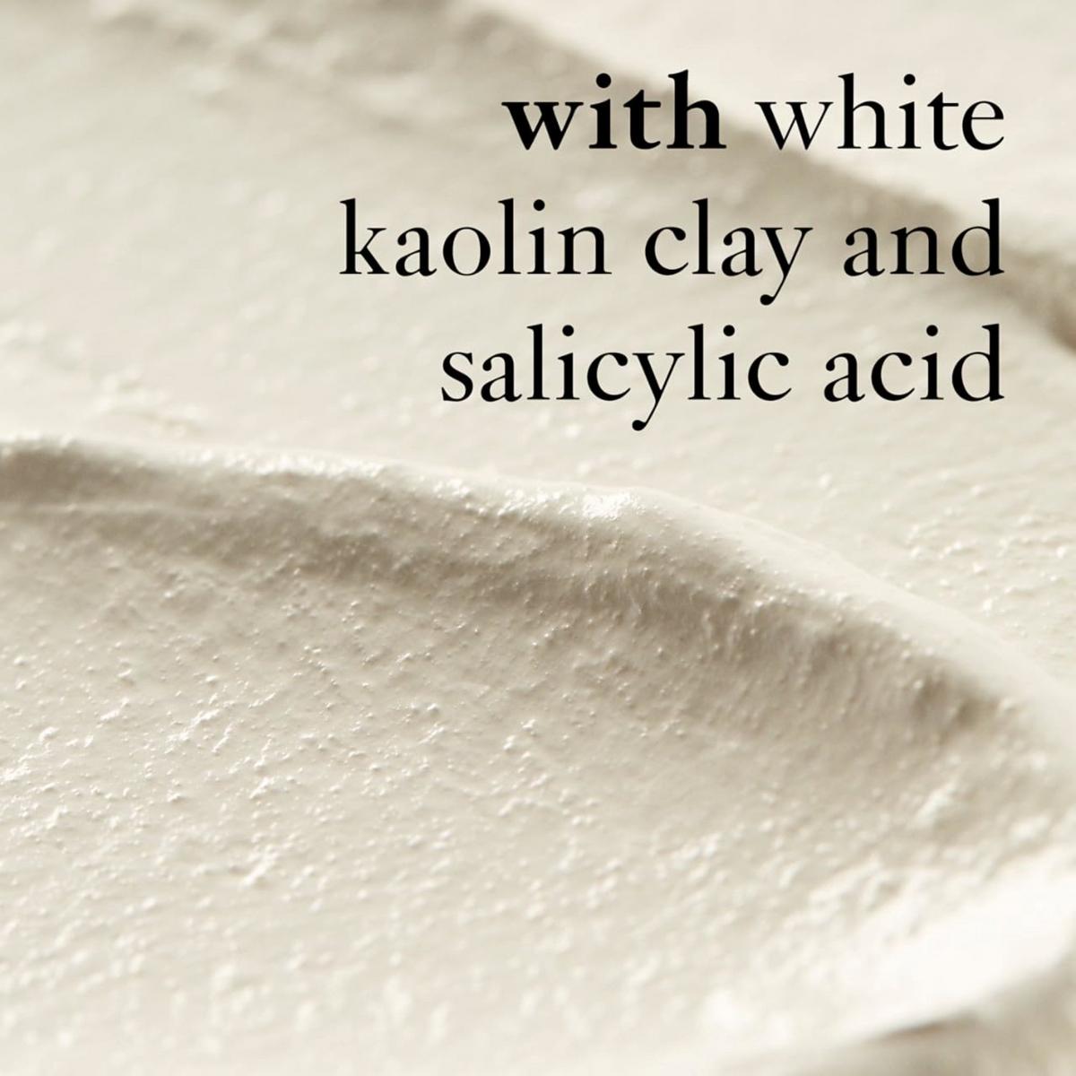 Purity Made Simple Pore Extractor Exfoliating Clay Mask