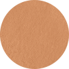 Terra