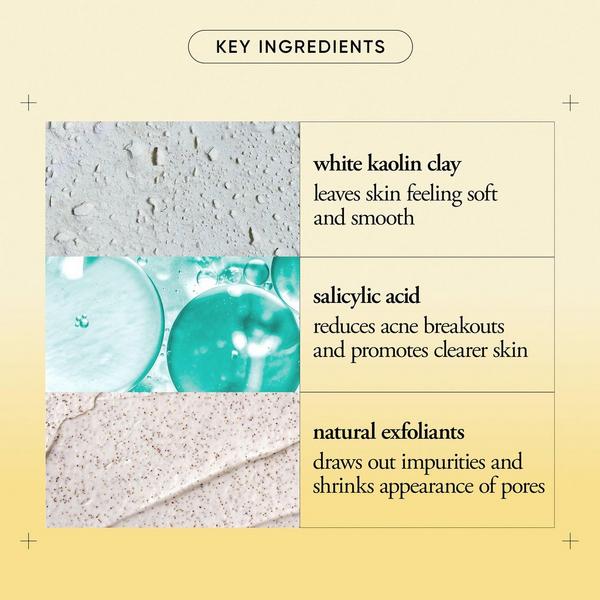 Philosophy Purity Made Simple Pore Extractor Clay Mask #3