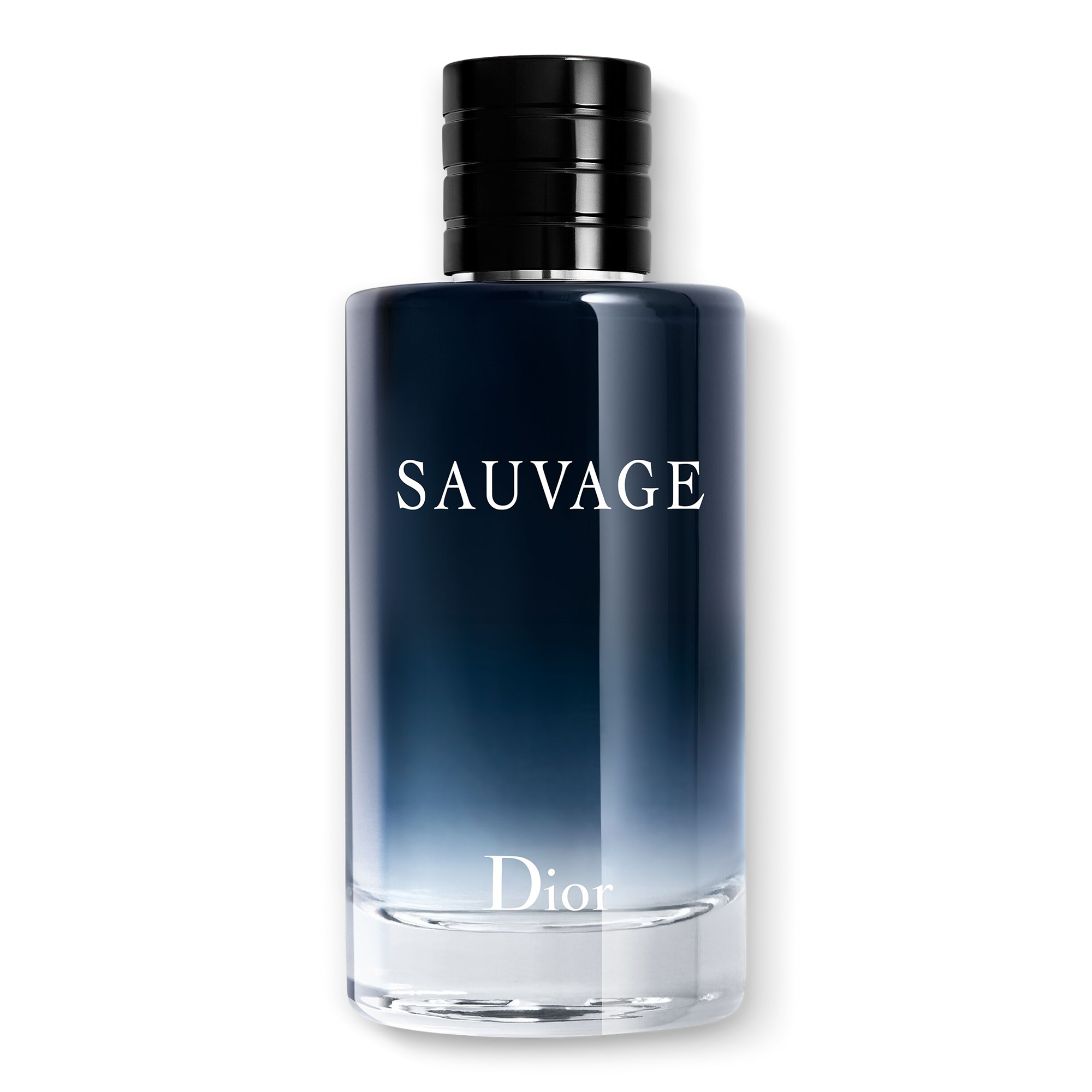 Dior Sauvage Eau de Toilette #1