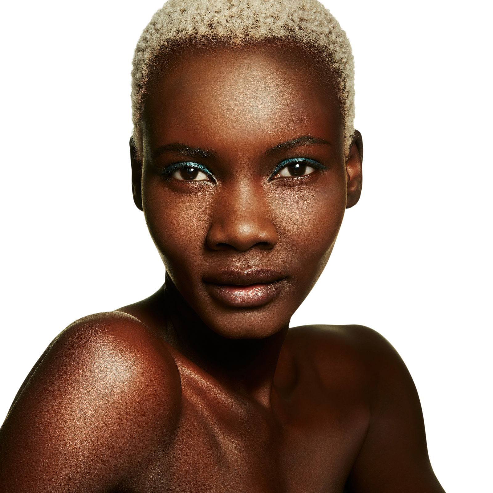 Mineralize Skinfinish Natural Face Powder