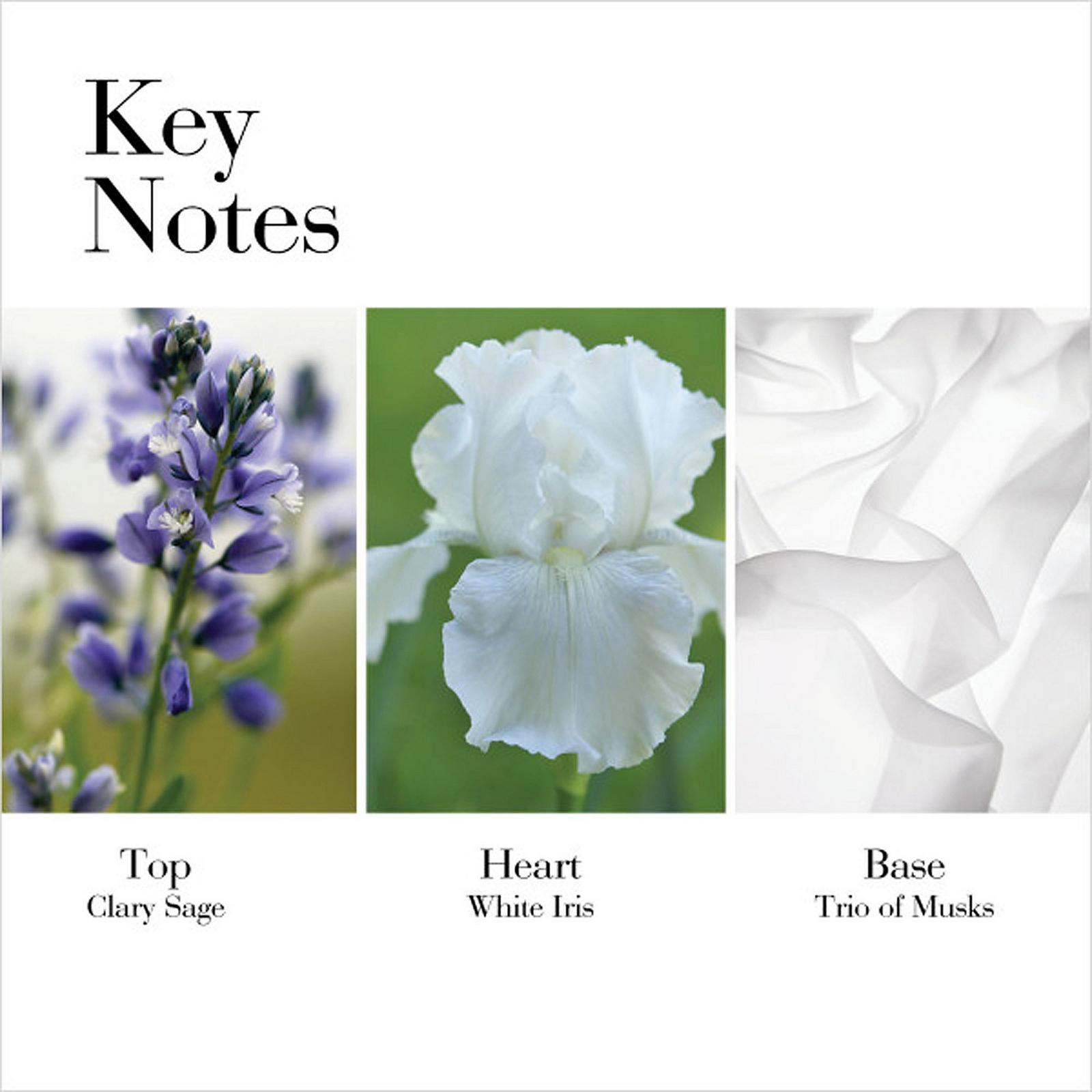 White Tea Eau de Toilette
