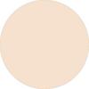 Transforming Porcelain Beige