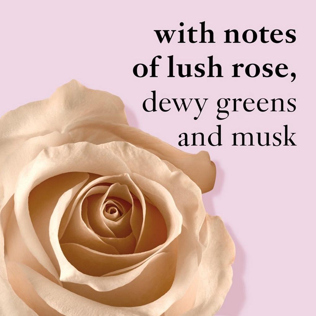 Buy Organic Red Rose Petal Powder- Rosa Centifolia -100% Pure