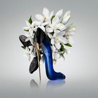 ひ*ん様 GOOD GIRL SUPEME CAROLINA HERRERA 5 Amazon.com: Carolina Herrera Good Girl Supreme Fragrance For