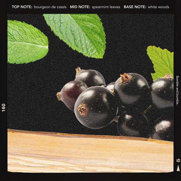 Bumble and bumble Prep Detangling Hair Primer #6