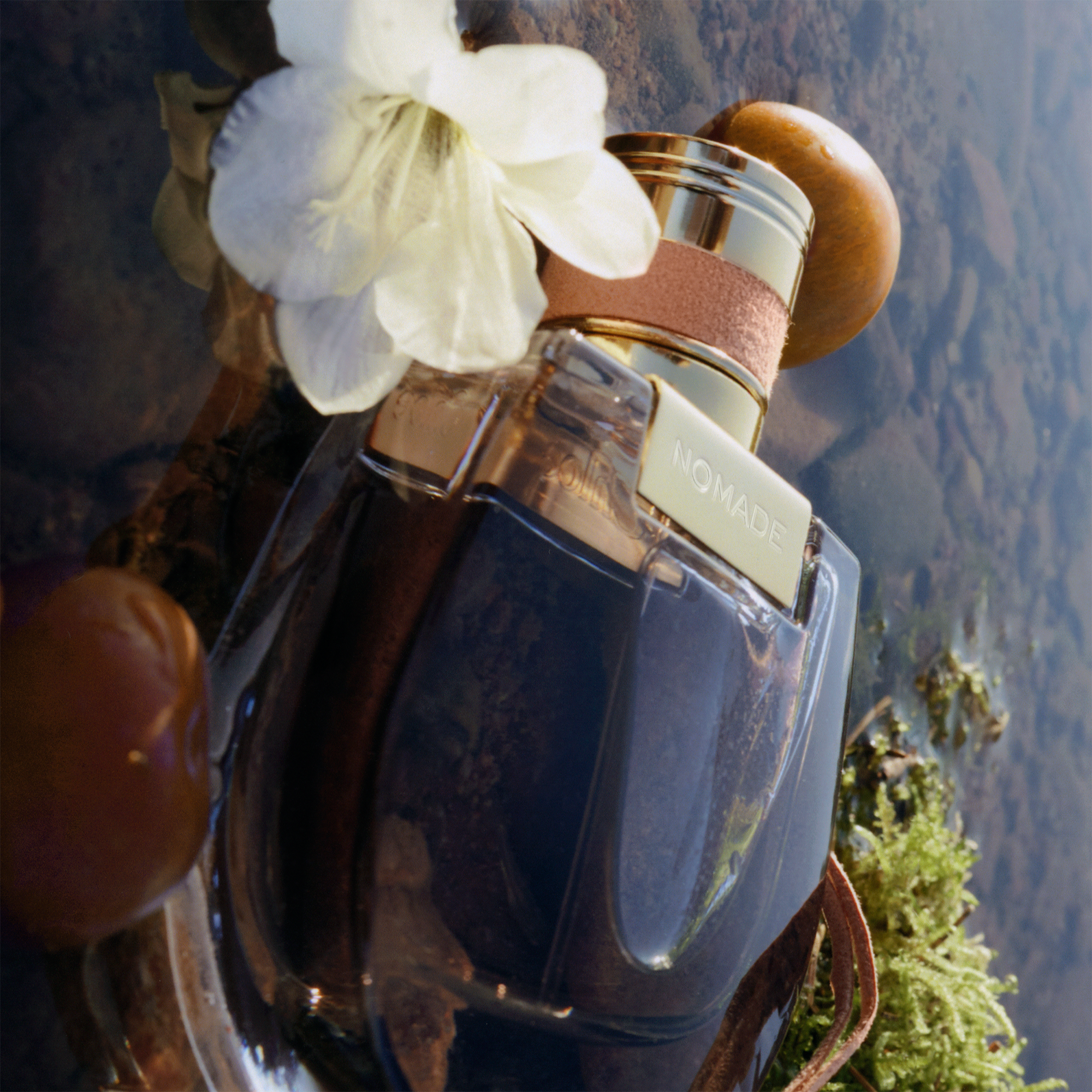 Chloé Nomade - Thumbnail 5