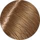 Light Brown Temporary Root Powder 