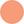 Peach Primrose Flower Pots Powder Blush 