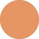 Rich Celebration Full Coverage Powder Foundation 