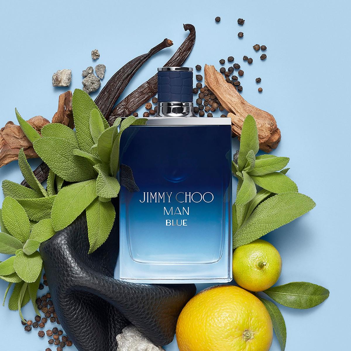 Jimmy shops choo blue men's fragrance