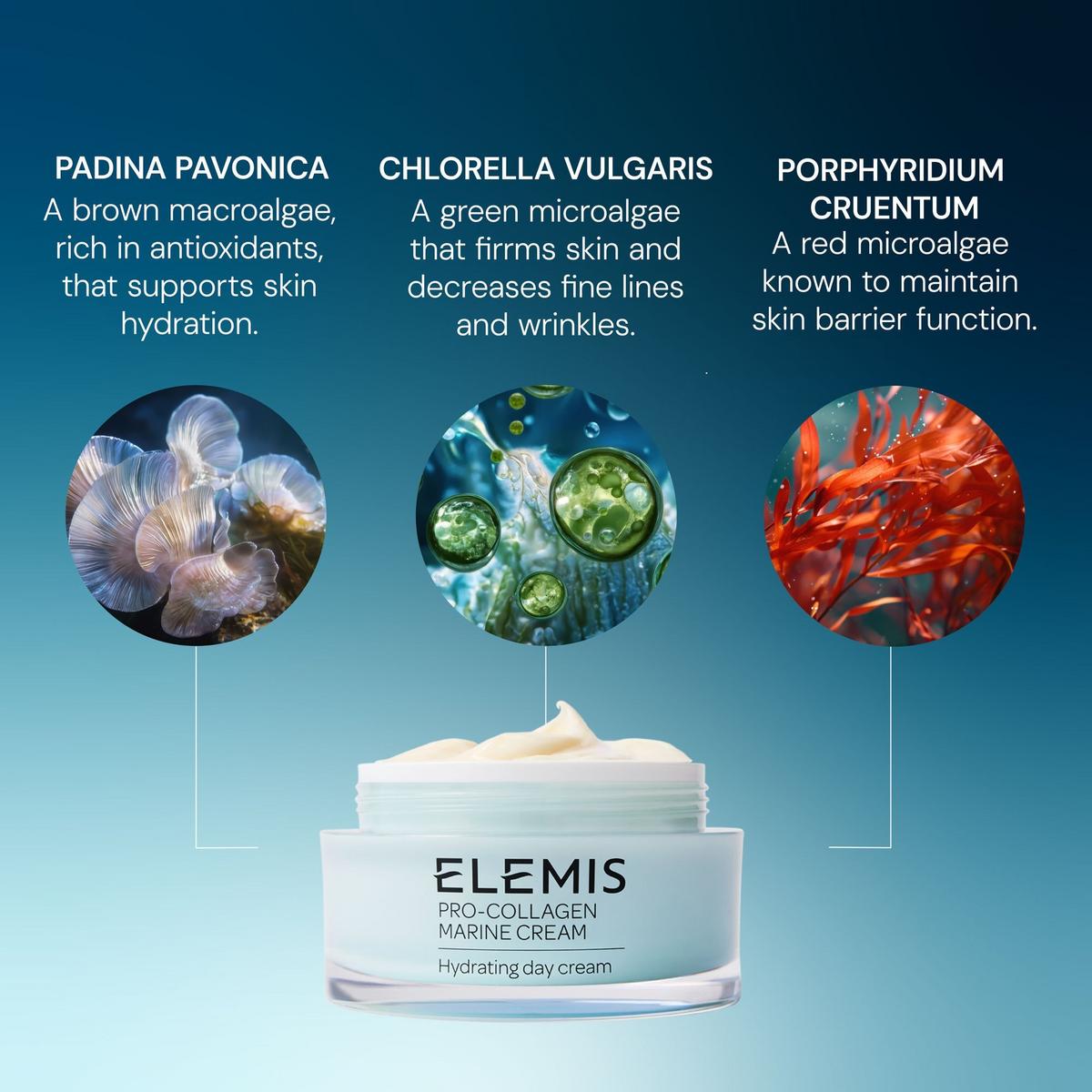 Pro-Collagen Marine Cream - 1.6 oz