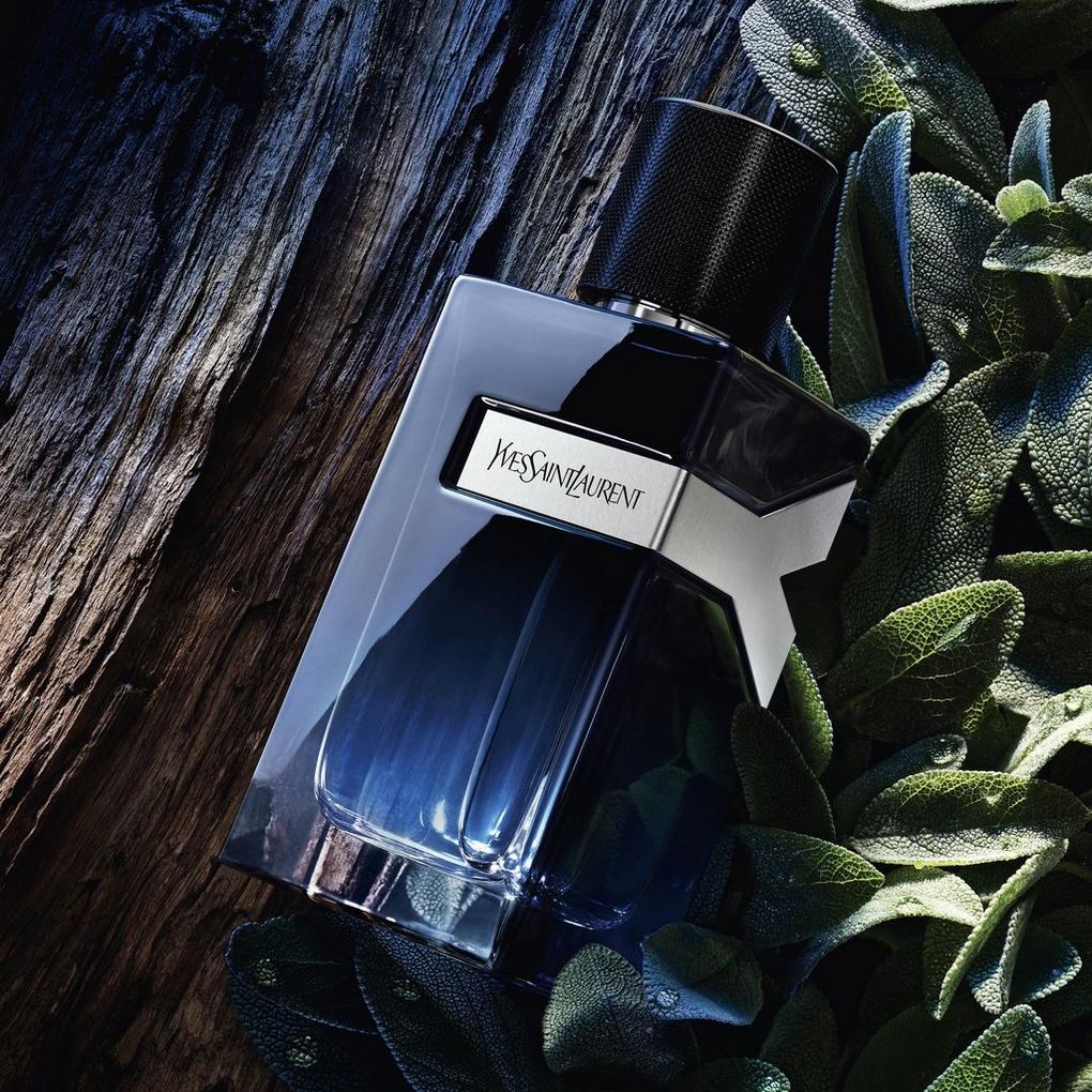 Yves saint hotsell laurent male fragrances