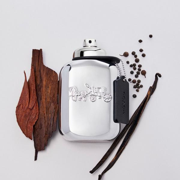 Coach Platinum Eau de Parfum #2