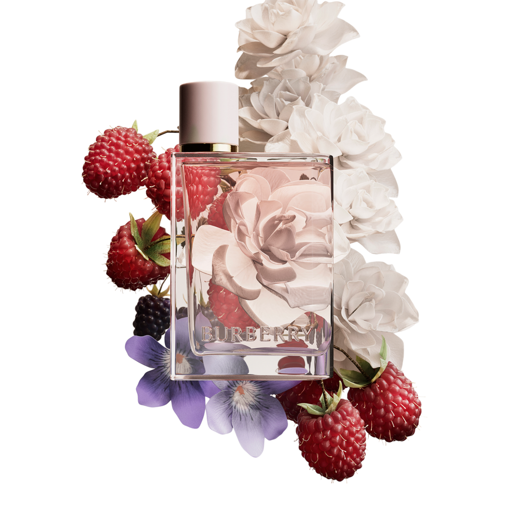 Top 72+ imagen burberry perfume notes