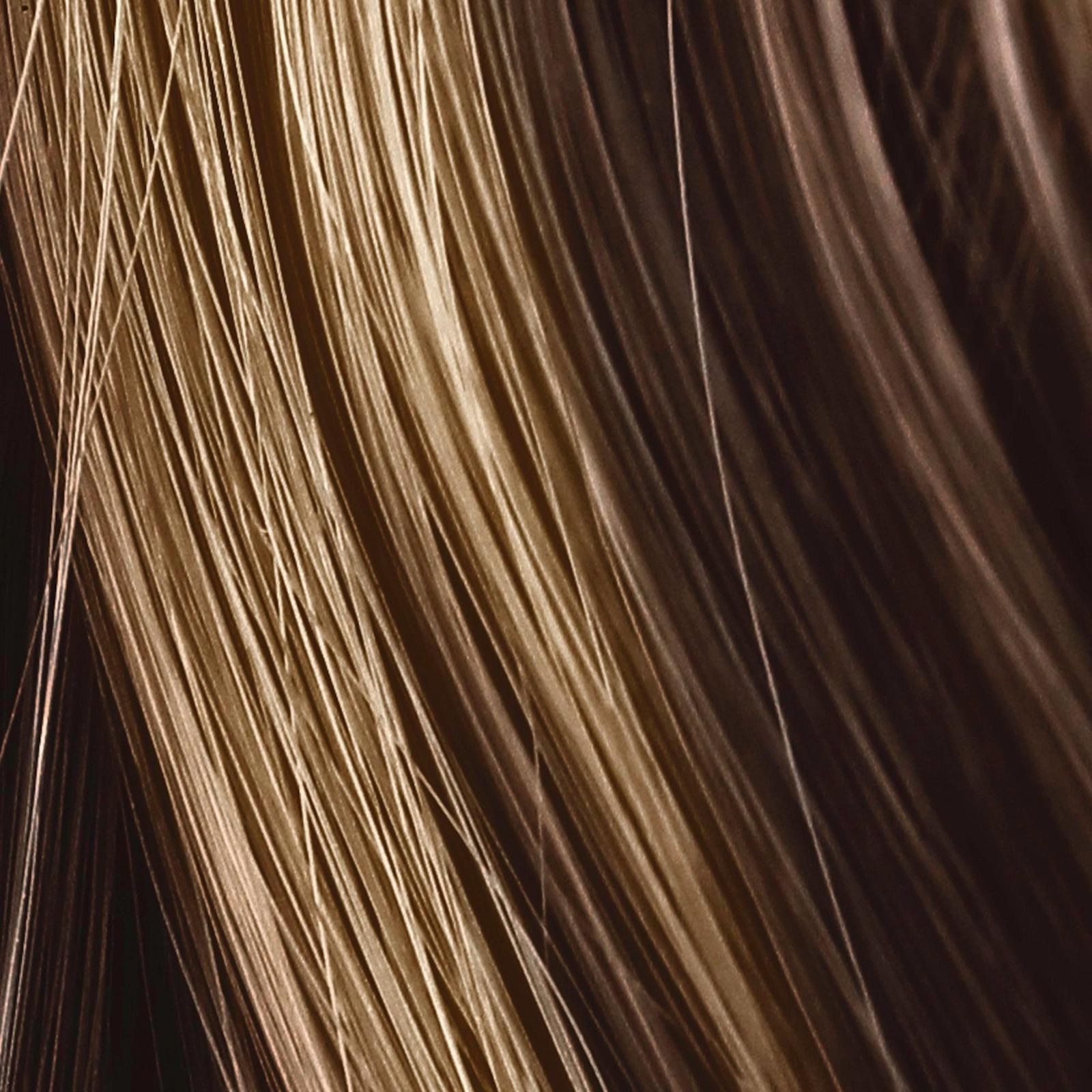 Light Works Balayage Highlighting Kit