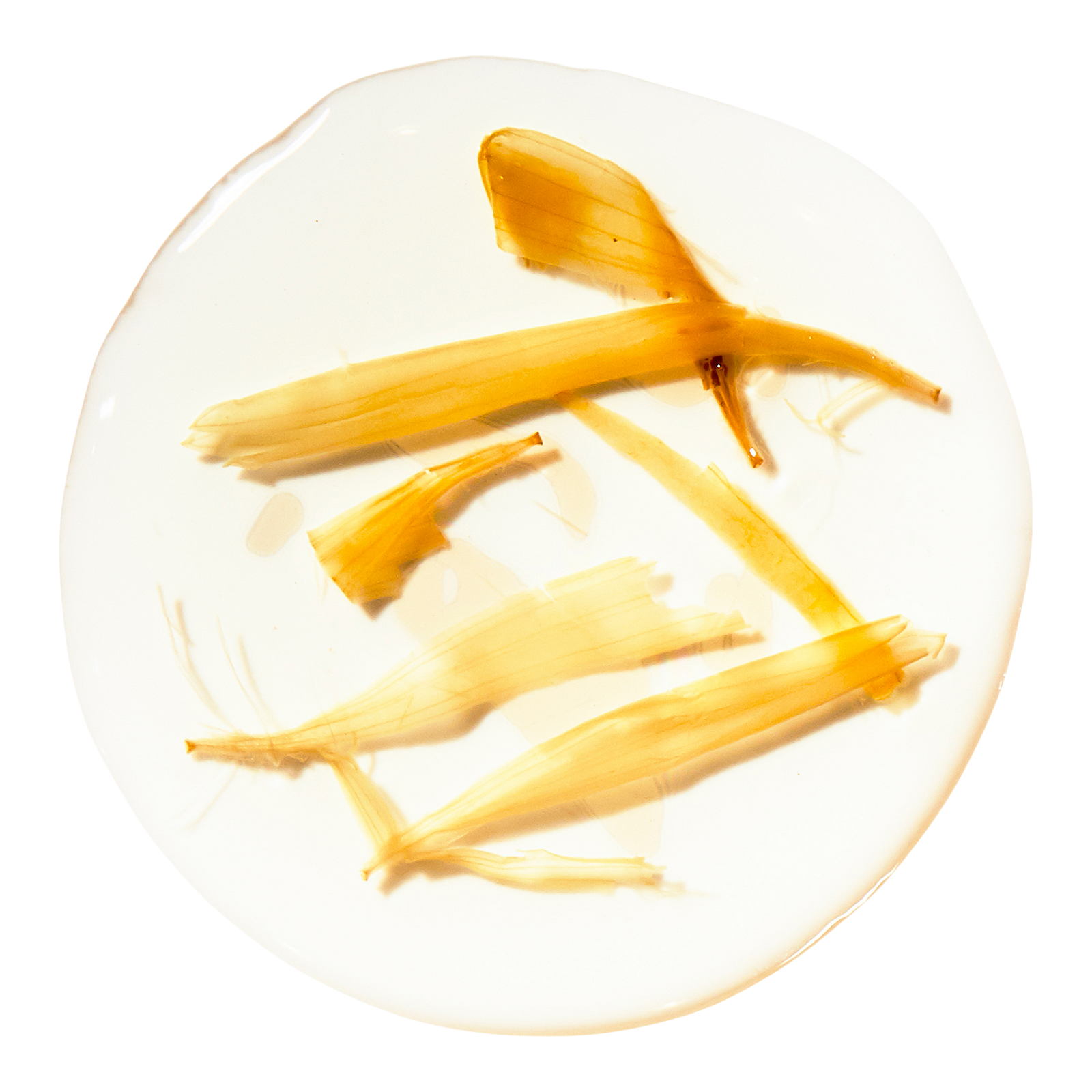 Calendula Herbal Extract Alcohol Free Toner